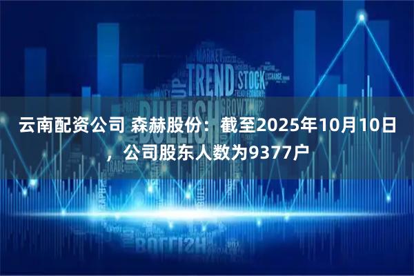 云南配资公司 森赫股份：截至2025年10月10日，公司股东人数为9377户